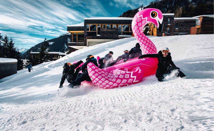 Flamingo sliding down